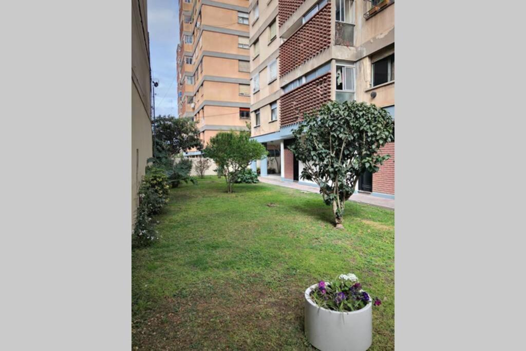 شقة Departamento Centrico A Metros De Plaza Belgrano سان سلفادور دي خوخوي المظهر الخارجي الصورة