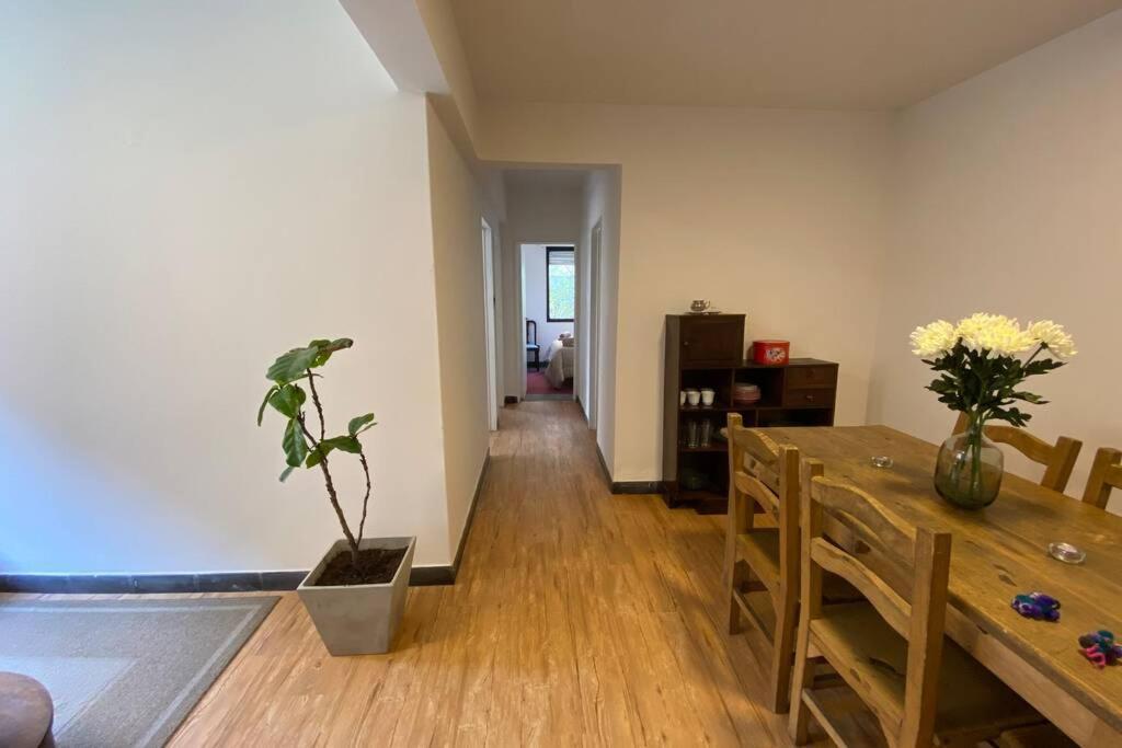 شقة Departamento Centrico A Metros De Plaza Belgrano سان سلفادور دي خوخوي المظهر الخارجي الصورة